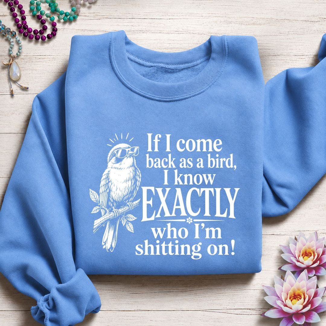 Printify Sweatshirt If I Come Back Sweatshirt Carolina Blue / S
