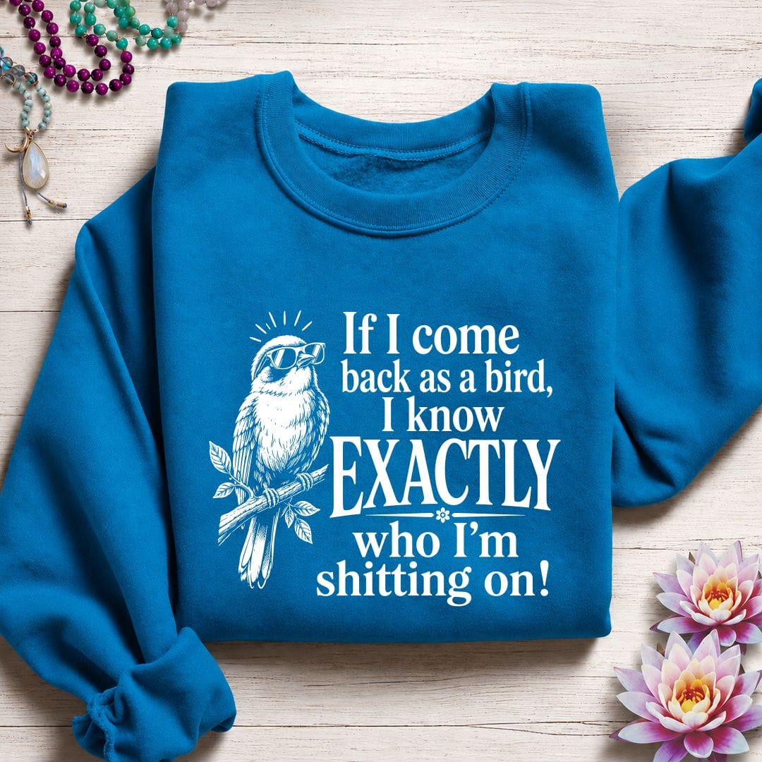 Printify Sweatshirt If I Come Back Sweatshirt Sapphire / S
